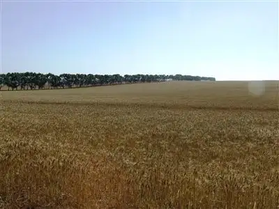 Fourth view of Homely rural property listing, Address available on request