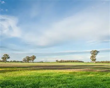 Sixth view of Homely rural property listing, 000 "Mogolimby Estate", Euroa VIC 3666