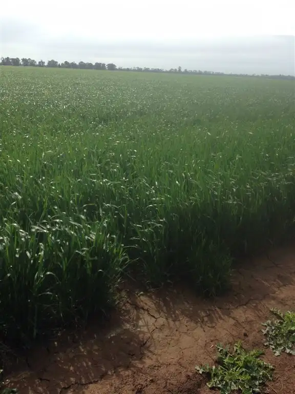 Sixth view of Homely rural property listing, Address available on request