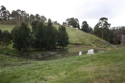 Fifth view of Homely rural property listing, 142 DAVIES STREET, Bridgetown WA 6255