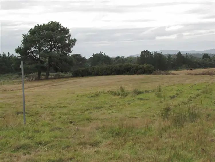 Second view of Homely land listing, 10 Reibey Street, Beaconsfield TAS 7270