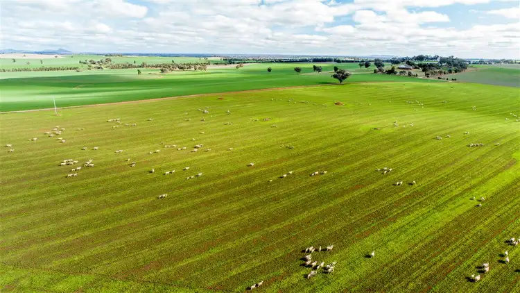 Fourth view of Homely rural property listing, Clearview Tooyal School Road, Wagga Wagga NSW 2650