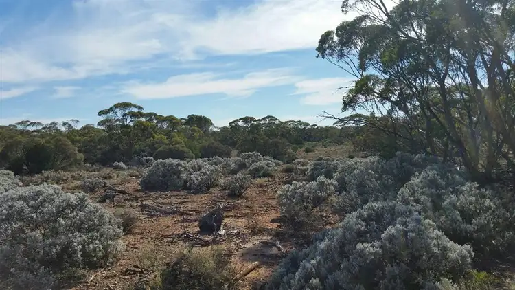 Second view of Homely rural property listing, Lot 7 Stott Highway (Fisher), Swan Reach SA 5354