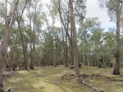 Fourth view of Homely rural property listing, Lot 3 Penny Lane, Ruffy VIC 3666
