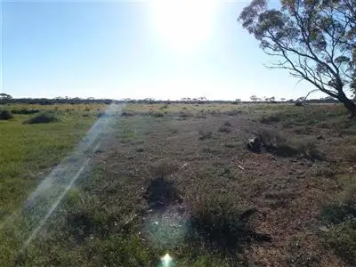 Second view of Homely rural property listing, Lot 737 Linkes Woolshed Road, Steinfeld via, Truro SA 5356