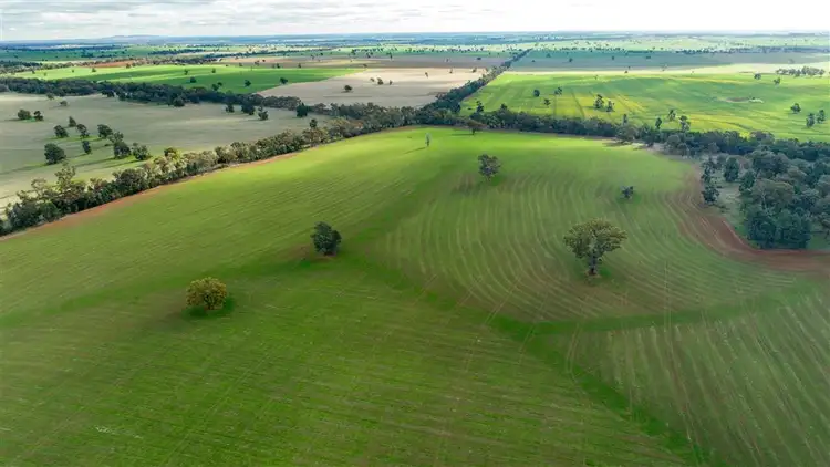 Second view of Homely rural property listing, The Village, East Millwood Road, Wagga Wagga NSW 2650