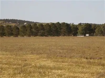 Third view of Homely rural property listing, Lot 1 Yongala Road, Peterborough SA 5422