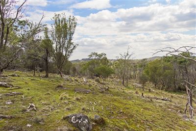 Sixth view of Homely land listing, Distillery Creek, Tasman Highway, Nunamara TAS 7259