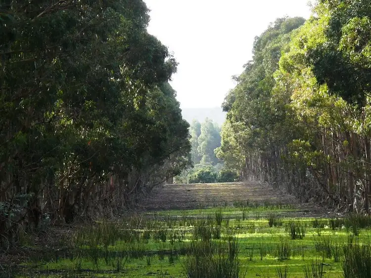 Second view of Homely rural property listing, Lot 20 Orleans Road, Esperance WA 6450