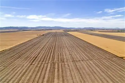 Fourth view of Homely rural property listing, Lalagooli/West Normans Rd, Gunnedah NSW 2380