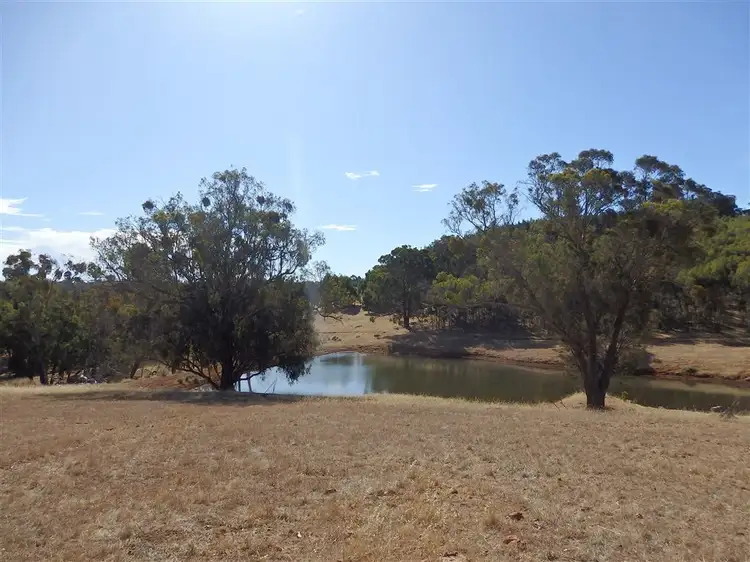 Fifth view of Homely land listing, Lot 5 Scriven Road, Bridgetown WA 6255