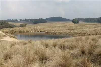 Seventh view of Homely rural property listing, Lot 74 Captains Flat Road, Braidwood NSW 2622