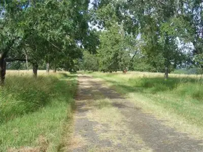 Third view of Homely rural property listing, Sandilands/7689 Bruxner Highway, Tabulum via, Casino NSW 2470