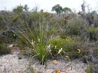 Seventh view of Homely land listing, 161 Wannamal West Road, Gingin WA 6503
