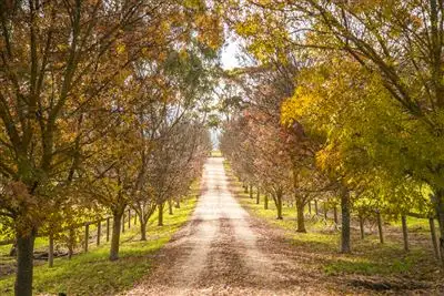 Main view of Homely rural property listing, 69 Brown Road, Echunga SA 5153