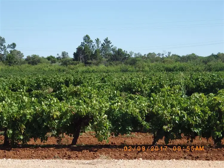 Fifth view of Homely rural property listing, 71 Scott Road, Monash SA 5342