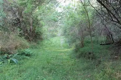 Third view of Homely rural property listing, 4650 Araluen Road, Araluen NSW 2622