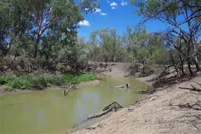Fourth view of Homely rural property listing, . Middle Route Road, Burren Junction NSW 2386
