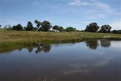 Fifth view of Homely rural property listing, Kelloshiel/1358 Triamble Road Hargraves, Mudgee NSW 2850