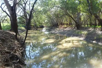 Sixth view of Homely rural property listing, " Windella, Nyngan NSW 2825