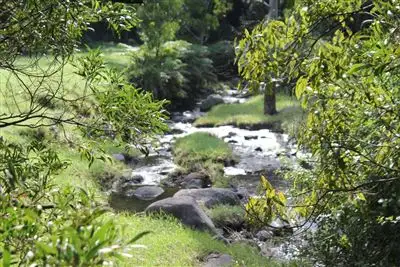 Fifth view of Homely rural property listing, 246b Martinvale Lane, Jaspers Brush NSW 2535