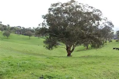 Main view of Homely rural property listing, Address available on request