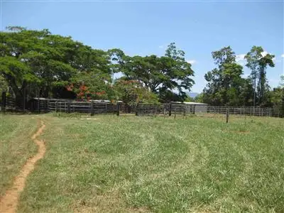 Fifth view of Homely rural property listing, 1256 Tully Gorge Road, Jarra Creek QLD 4854