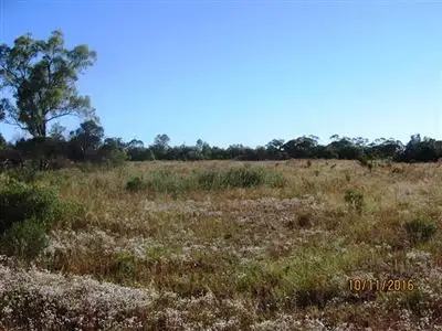 Fifth view of Homely rural property listing, 560 Laroo Road, Hermidale NSW 2831