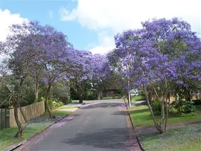 Second view of Homely house listing, 33 Cooradilla Street, Jindalee QLD 4074