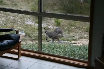 Third view of Homely rural property listing, Address available on request