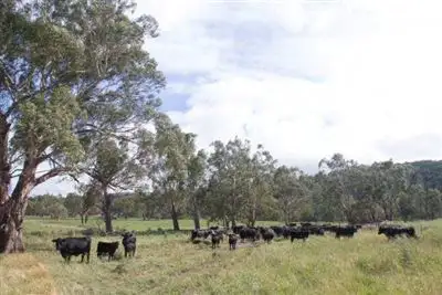 Fifth view of Homely rural property listing, Waterloo/67 Waterloo Road, Matheson NSW 2370