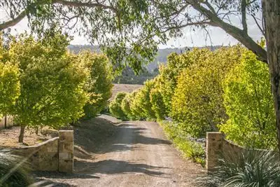 Main view of Homely house listing, 50 Camel Hump Road, Mylor SA 5153