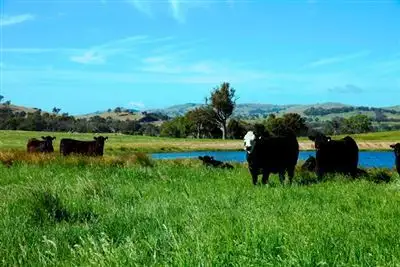 Third view of Homely rural property listing, 54 Lawrence Lane 'Warrawee', Bowning NSW 2582