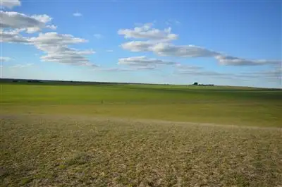 Fifth view of Homely rural property listing, 450 Perkindoo Road, Cooke Plains SA 5261
