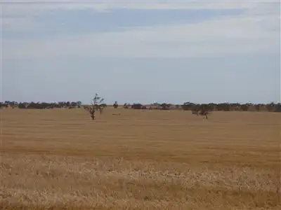 Fifth view of Homely rural property listing, 431 Baker - Hiscocks Road, Netherby, Nhill VIC 3418