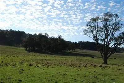 Fifth view of Homely rural property listing, 3820 Niangala Road, Niangala NSW 2354