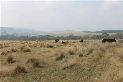 Sixth view of Homely rural property listing, Lot 74 Captains Flat Road, Braidwood NSW 2622