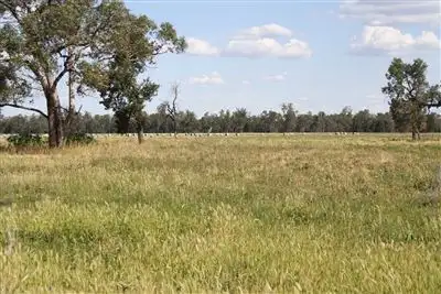 Main view of Homely rural property listing, 2554 East Coonamble Rd, Curban NSW 2827