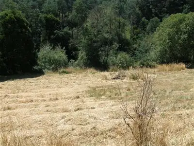 Seventh view of Homely house listing, 2 Renison & 5 Main  Street, Derby TAS