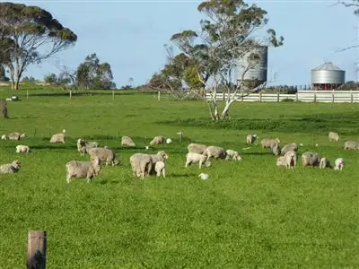 Sixth view of Homely rural property listing, "Apoinga"/2473 Riddoch Highway, Keith SA 5267