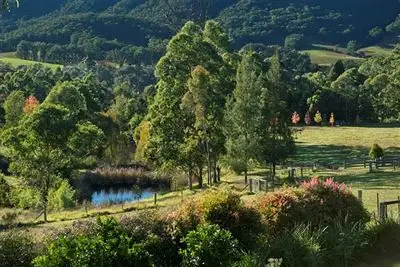 Main view of Homely house listing, 2255 Moss Vale Road, Kangaroo Valley NSW 2577