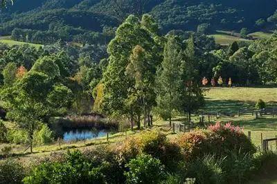 Main view of Homely house listing, 2255 Moss Vale Road, Kangaroo Valley NSW 2577