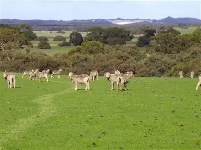 Fifth view of Homely rural property listing, 14 East West Two Highway, Parndana SA 5220