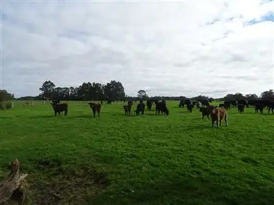 Fourth view of Homely rural property listing, 138 Double Bridges Road, Northcliffe WA 6262