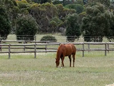 Fourth view of Homely house listing, 44 Main Road, Finniss SA 5255