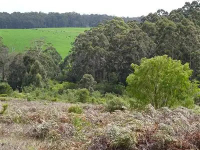 Second view of Homely rural property listing, 400 Roberts Road, Pemberton WA 6260