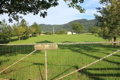 Third view of Homely rural property listing, 246b Martinvale Lane, Jaspers Brush NSW 2535