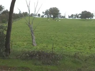 Fifth view of Homely land listing, Lot/442 Netherleigh Lane, Cootamundra NSW 2590