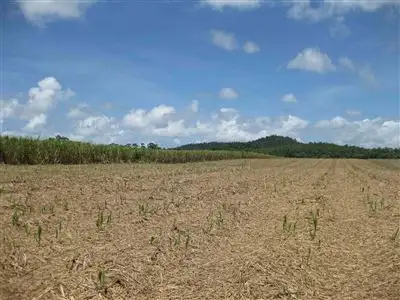 Second view of Homely rural property listing, 0 El Arish-Mission Beach Road, Maria Creeks QLD 4855