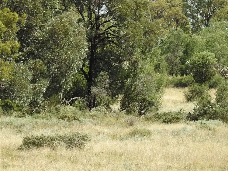 Fifth view of Homely rural property listing, Address available on request